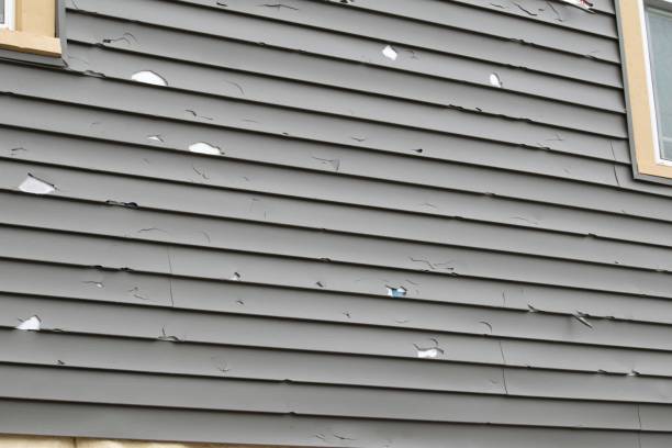 Professional Junk Removal in Gladeview, FL